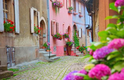 L'Atypique d'Eguisheim - Foto 9