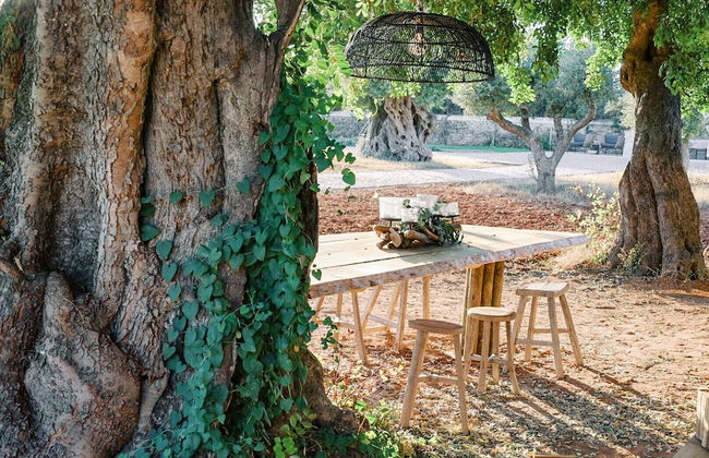 Conversas de Alpendre - Foto 58