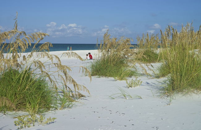 Haley's at The Anna Maria Island Inn - Foto 37