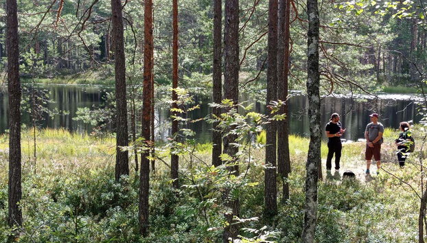 Trekking por el Parque Nacional Nuuksio - Foto 2