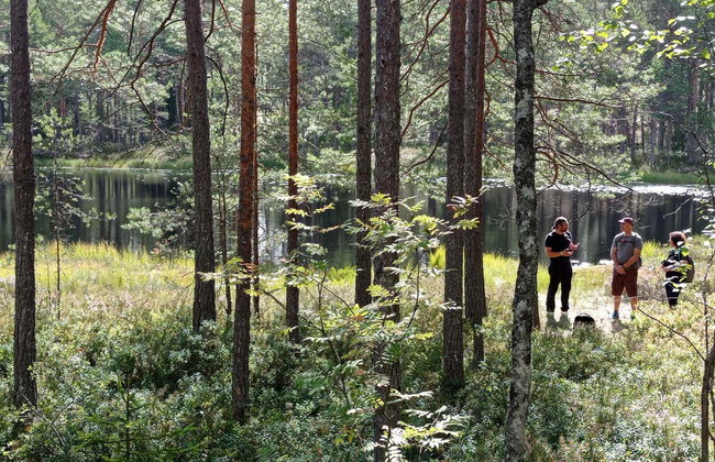 Trekking por el Parque Nacional Nuuksio - Foto 2