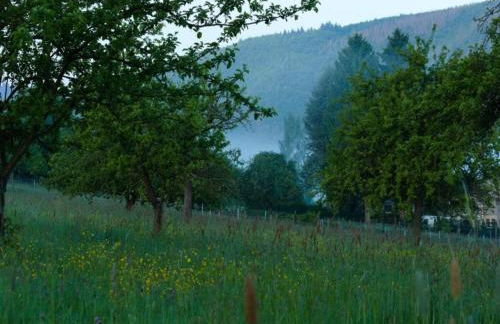 Bungalow im Feriendorf Uslar mit Gartenterrasse - Photo 58