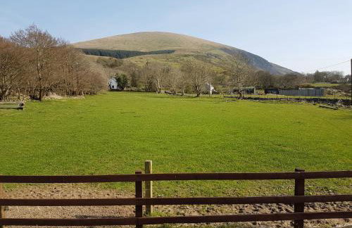 Buarth Wern - Foto 12