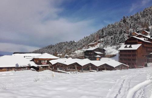 Pleine nature Pied pistes Piscine chauffée - Foto 11