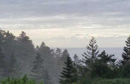 Amazing Getaway Oceanview with treehouse feel - Foto 29