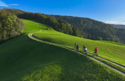 The Garden Studio - Foto 22