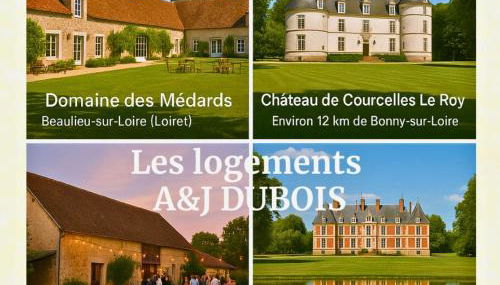 A&J COSY - Neuvy sur Loire - Guédelon - Foto 3