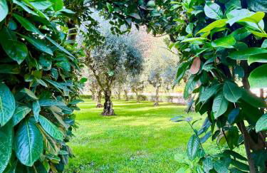 Il Giardino di Athena 1 - Foto 22