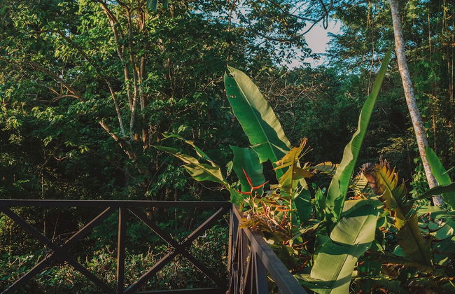 Chalet San Juanillo - Photo 10