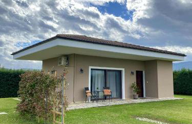 Galini Estate - Foto 7