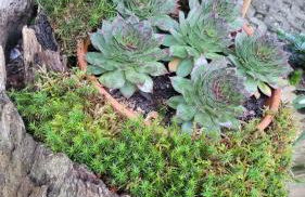 Naova Cosy Studio - Foto 22