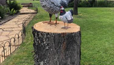 Chalet Colline et Lou - Foto 4