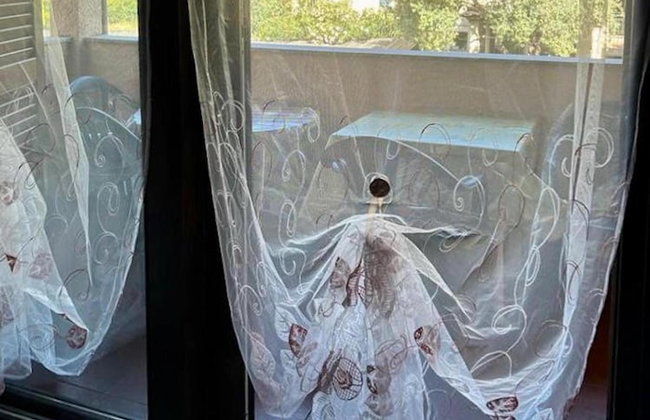 Olbia, Near Costa Smeralda Airport - Non-smoking - Photo 74