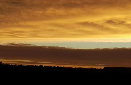 Ferienhaus Alte Schmiede - weites Land - Foto 37