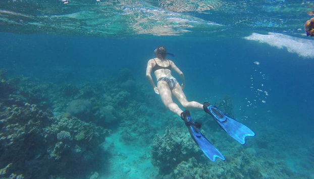 Red Sea Snorkelling Experience - Foto 2