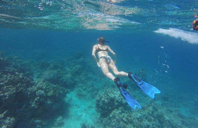 Snorkeling dans la mer Rouge - Photo 1
