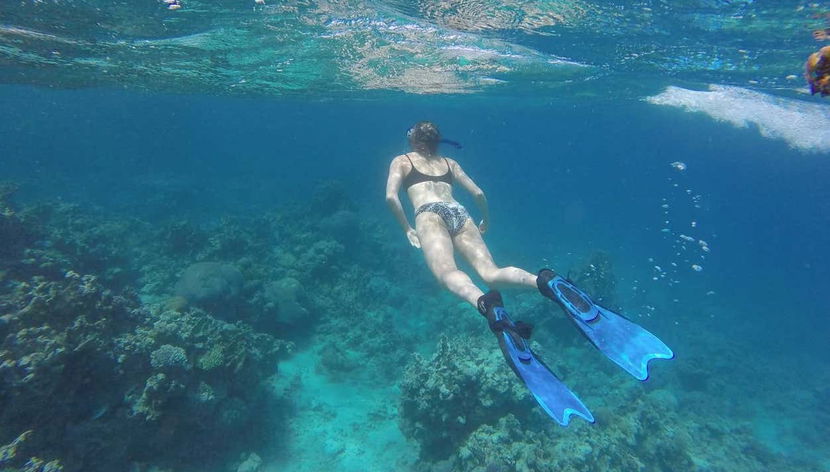 Red Sea Snorkelling Experience - Foto 2