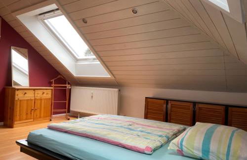 Sonnenschein - Foto 40