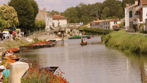 Luxury Villa in France with Pool and Garden - Foto 3