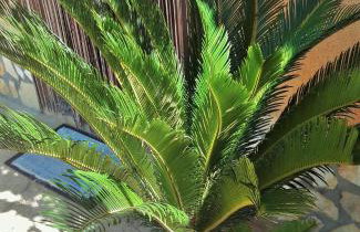 STUDIO APARTMAN STARA BAŠKA - Foto 32