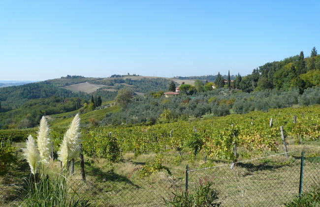 Villa Firenze Casa Serena - Photo 34