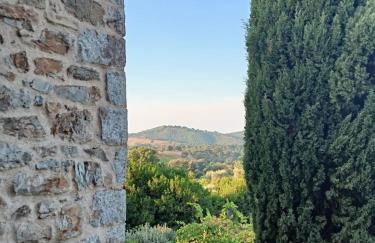 GiuMa Tuscany Historic Lux Farmhouse near Saturnia Hot Springs - Foto 29