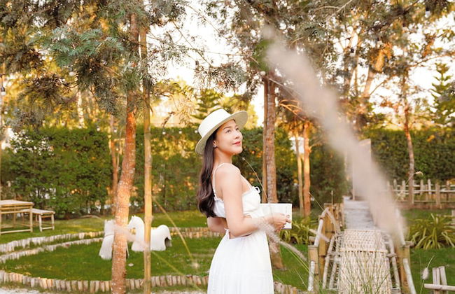 1000 Stars - Foto 13