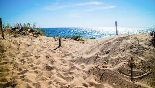 Oyster Beach Bungalow - Foto 5