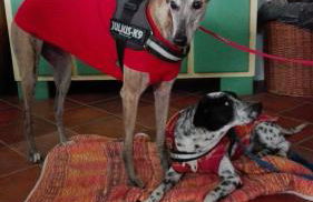 Masseria Marico - Foto 19