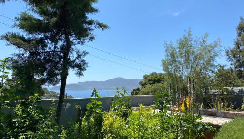 Villa-Agave , by the sea in Porto-Rafti outside Athens - Foto 4, Garden, Garden view