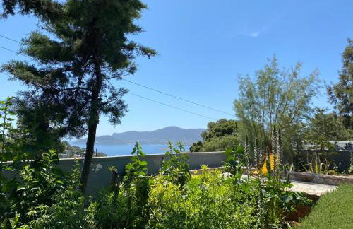 Villa-Agave , by the sea in Porto-Rafti outside Athens - Foto 4