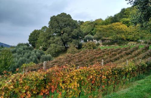 Colle Del Barbarossa - Foto 16