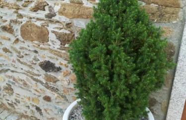 Casa do Azibo - Foto 21