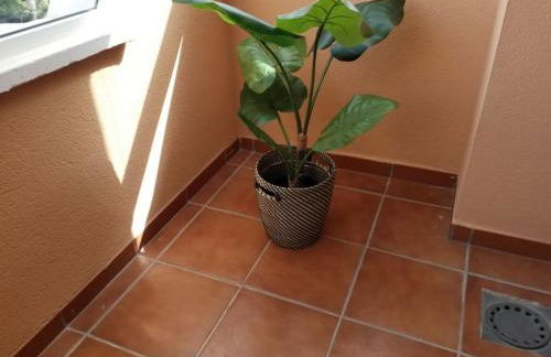 Casa Laguna - Foto 22