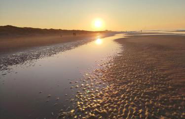 Escale à Bray Dunes - Foto 39