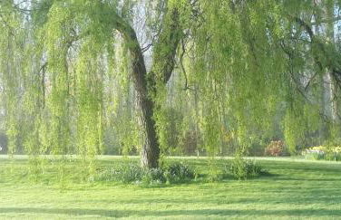 Paul's Farmhouse - Foto 10