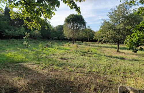 location saisonnière curiste - Foto 24