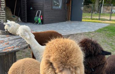 Ulinia Zacisze Dom do 10 os Dębowe Zacisze i Koral lub Horyzont i Bryza - Photo 46