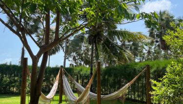 Casa Barra Nova - Foto 2, Garden