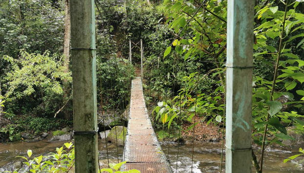 Parque Nacional de Los Quetzales