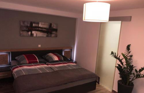 Sinsheim Unterkunft - Foto 50