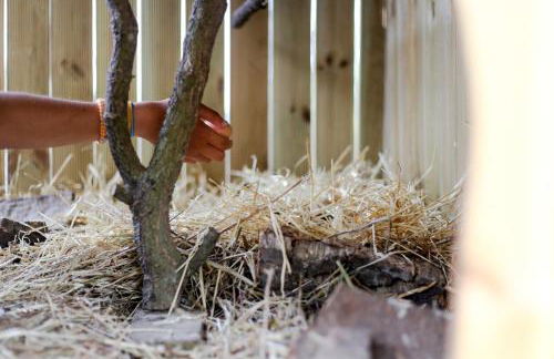 Monte Do Areeiro - Foto 31