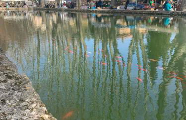 Le Cabanon de Livia avec piscine privée - Foto 48