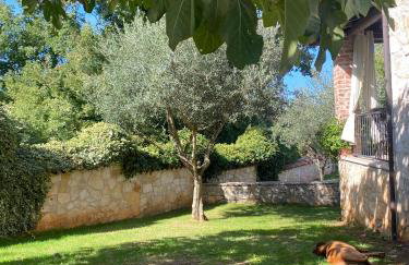 Villa Isabella - Ruheoase - Foto 45