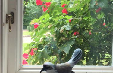 Waldmühle - Foto 39