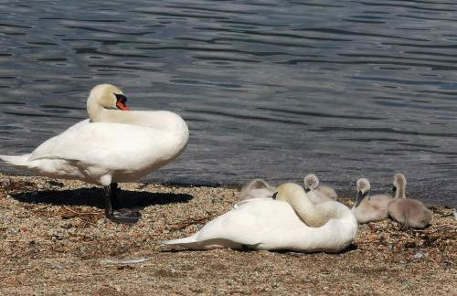 La baia d'acquadolce - Foto 38