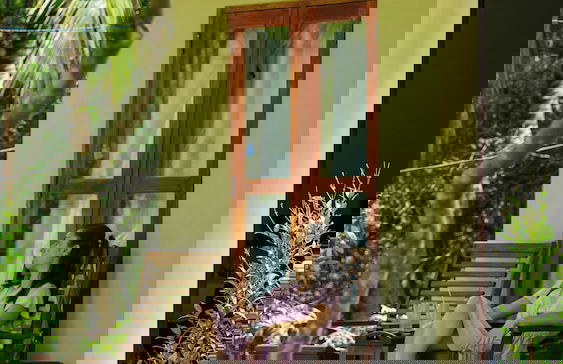 River Paradise Safari House with Cooking Class - Photo 1