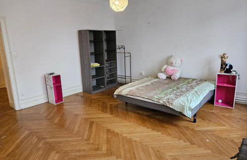 Maison de Maitre à Koenigshoffen - Foto 10