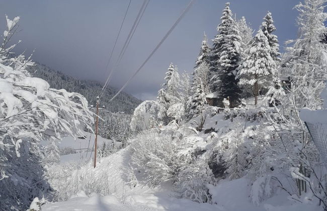 Apartment in Untertauern Near Ski Slopes - Foto 36