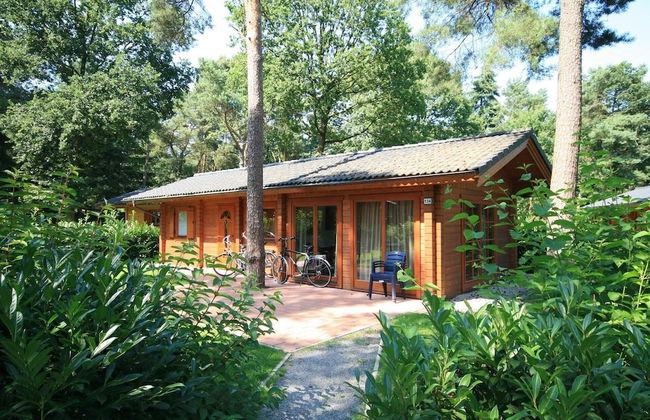 EuroParcs Brunssummerheide - Photo 8
